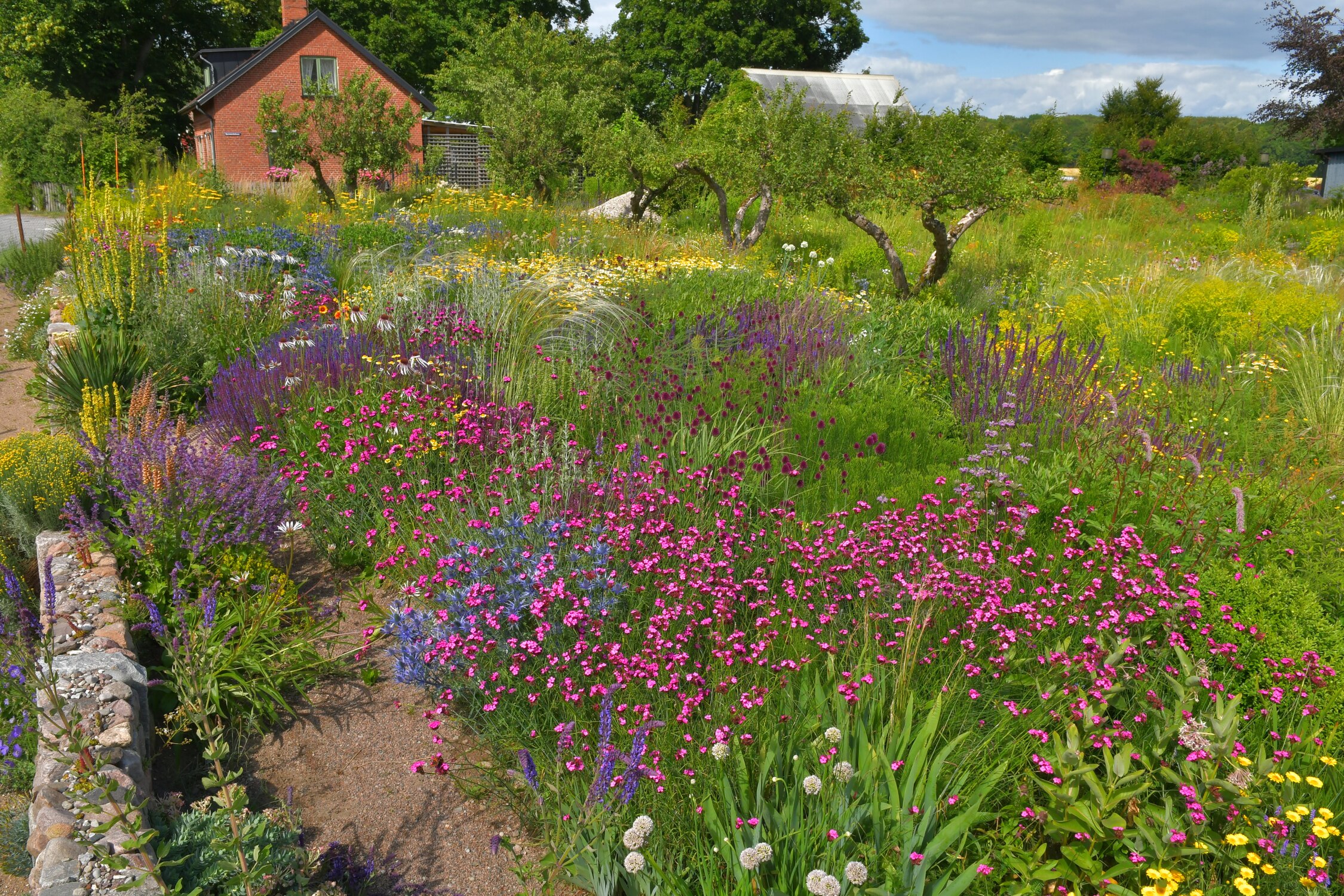 OUR GARDEN