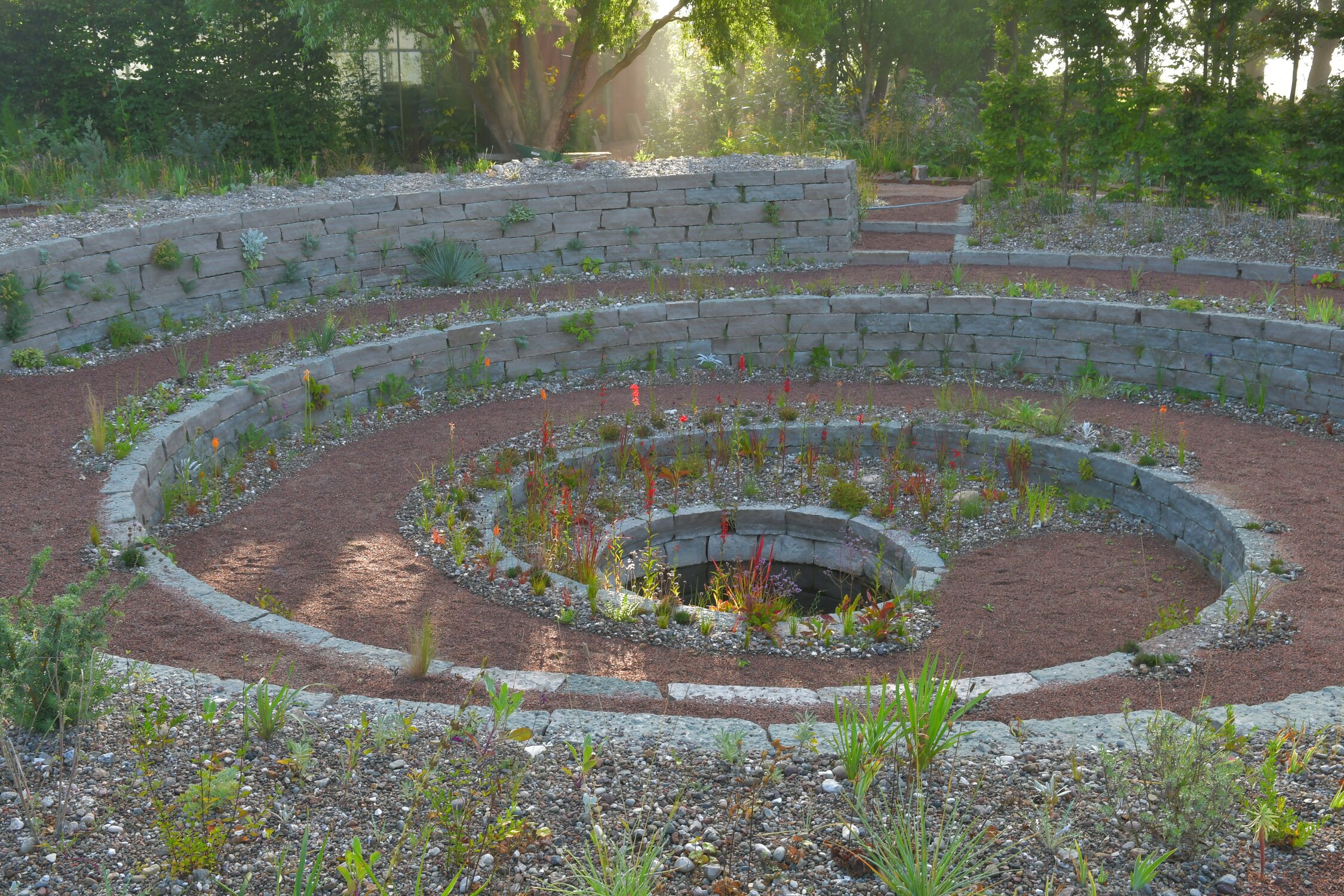 OUR GARDEN