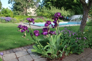 PROJECTS_PRIVATE PARCSGARDENS_ Private garden Limhamn Malmo