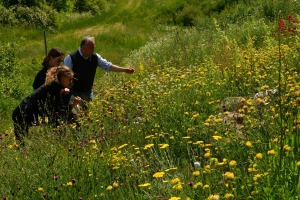 PROJECTS_PUBLIC BIODIVERSITY_ Sound Barrier, The Campus area, Vellinge