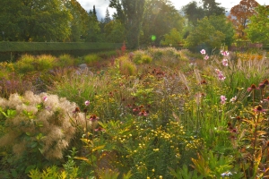 PROJECTS_PUBLIC PARCSGARDENS BIODIVERSITY _The Brick Room, The City park, Örebro tegelrummet