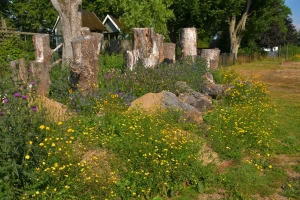 OUR GARDEN Collaborative (1)