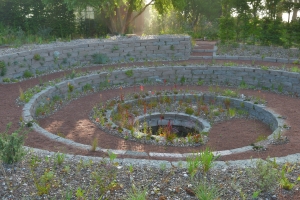 OUR GARDEN Collaborative (2)
