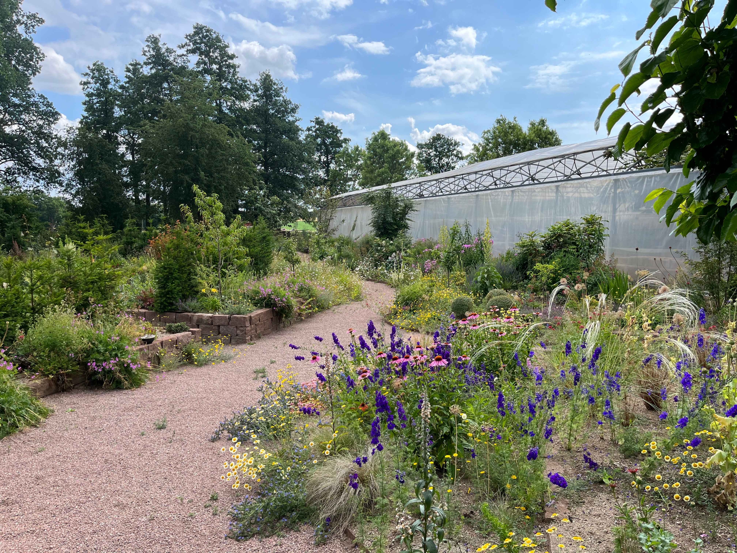 Vy från Julias del av trädgården