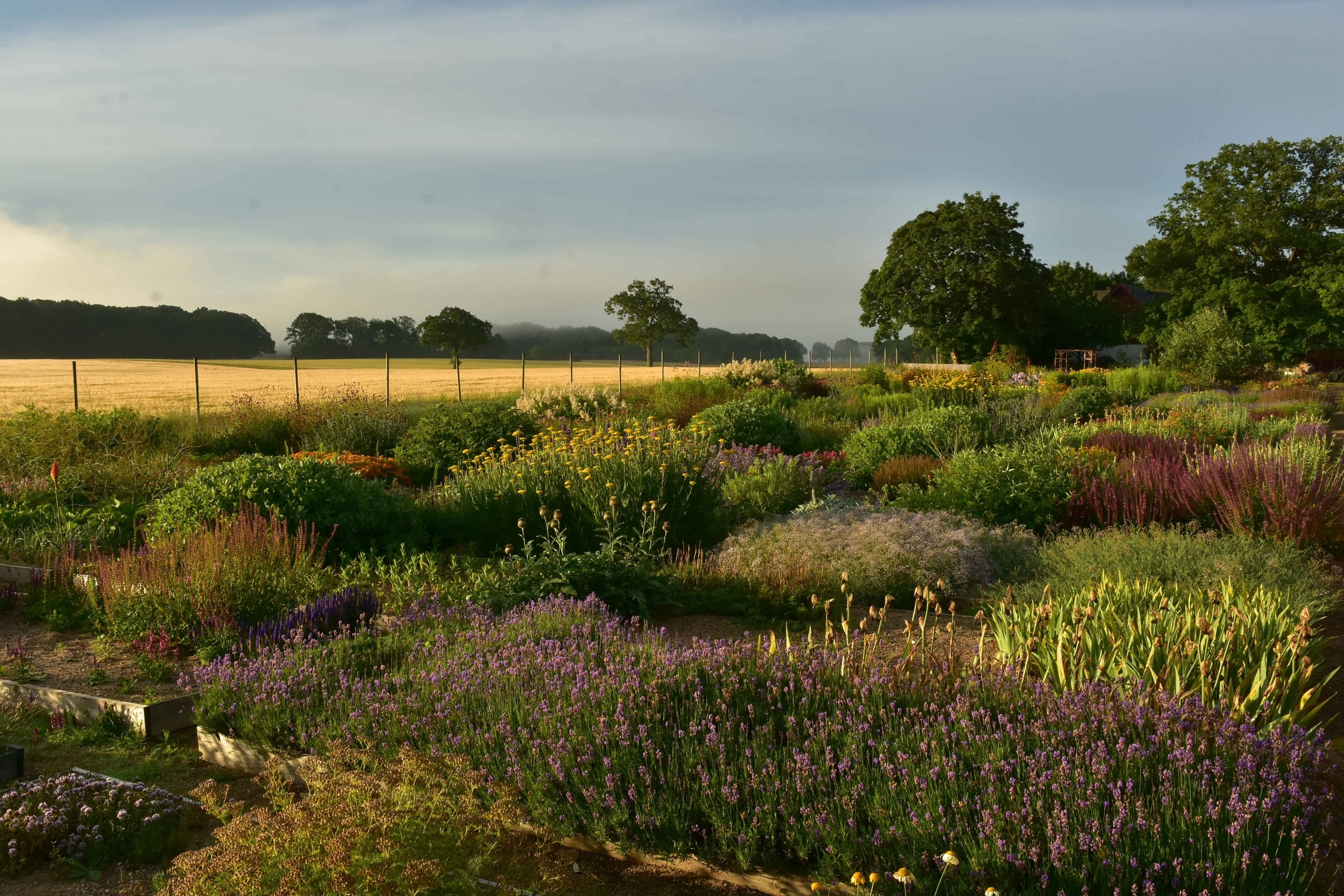 OUR GARDEN Nursery (1) 