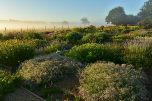 OUR GARDEN Nursery (2)