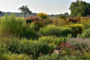 OUR GARDEN Nursery (3)